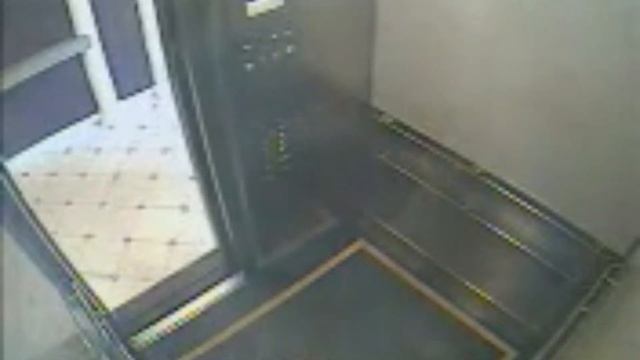 Elisa Lam's Mysterious and Suspicious Death || Elisa Murder case || nri murder case смотреть онлайн