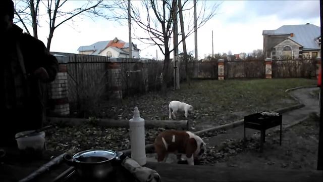 в любую погоду смотреть онлайн