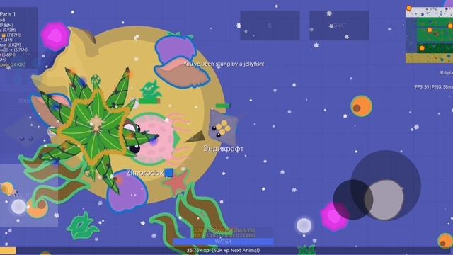 Играю в Mope.io. Развиваюсь от мышки до серьёзной птицы. Очень длинное выживание.