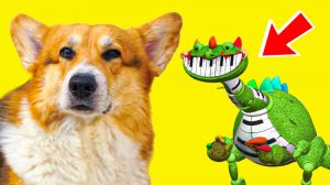 ПИАНОЗАВР ЧОТА КАКОЙ ТО ПОДОЗРИТЕЛЬНЫЙ!! Корги Кекс Говорящая собака