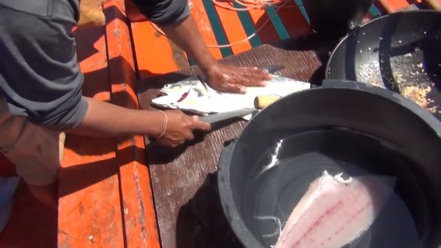 THAILAND PTT рыбалка смотреть онлайн