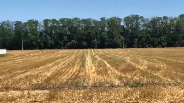 Внесение Навоза под урожай 2021 года, после уборки Ячменя