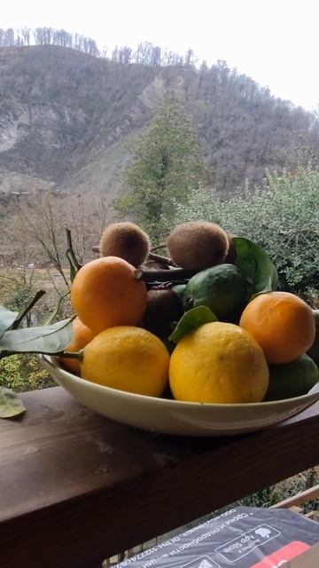 Купить земельный участок в Сочи недорого смотреть онлайн