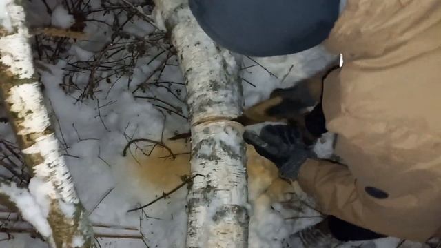 пилим дерево смотреть онлайн