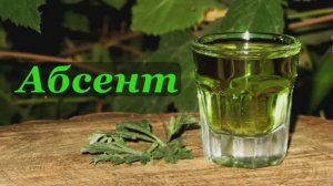 🍸 Абсент из Понта льё Франция 🇫🇷