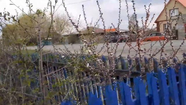 17/Вскопали огород/Болталочка смотреть онлайн