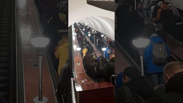 метро улица дыбенко Санкт-Петербург 06.02.2024 смотреть онлайн