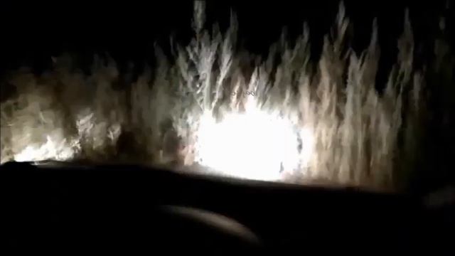 Test auta Dacia Logan na Zelenej vode dopadla na výbornú ! смотреть онлайн