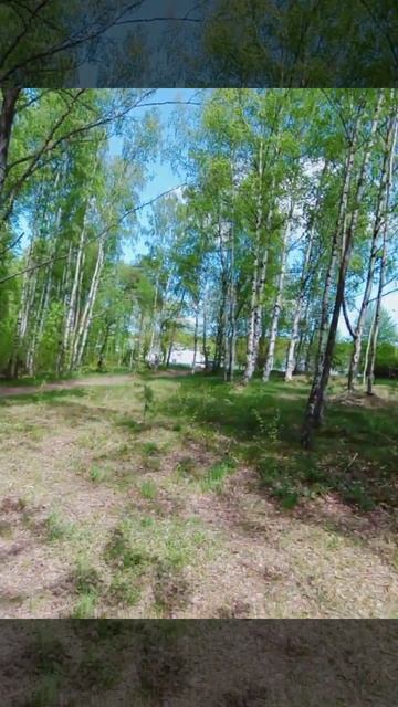 19 мая 2023 г. Выборг...похолодало...#vyborg2023 смотреть онлайн