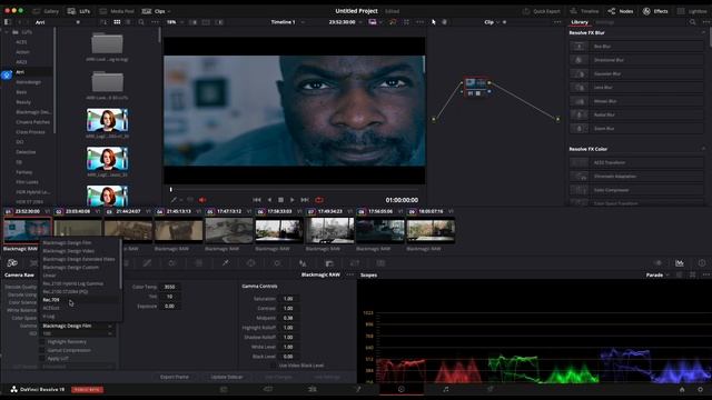 How To Use Free ARRI LUTs In Davinci Resolve With BRAW