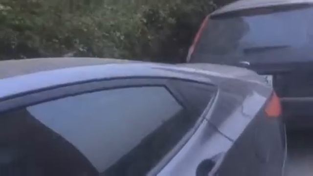 В Сочи выпал первый цемент с неба. смотреть онлайн