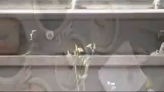 Крушение поездов на перегоне Ерал — Симская