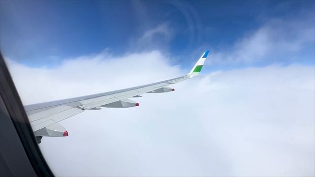 Ташкент - Лондон 2023 Uzbekistan Airways A321neo смотреть онлайн