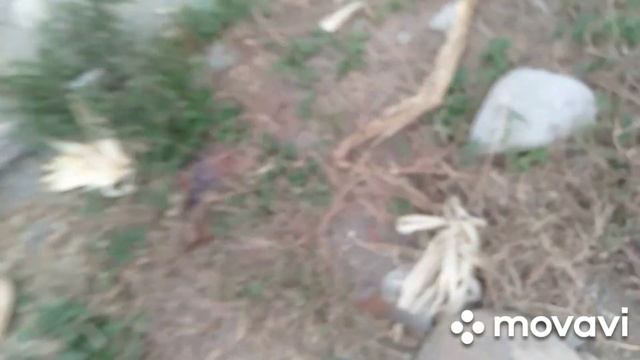 HOUSE BUILDING #1 #2 UPDATE ON PROGRESS🤔 смотреть онлайн