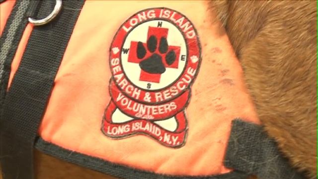 The Annual Long Island Pet Expo comes to Suffolk Community College смотреть онлайн