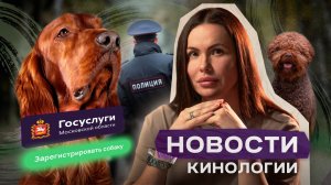Штрафы за отсутствие регистрации у собак, анонсы мероприятий — Новости Кинологии