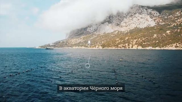 Ресторан SIMFERO у нас в гостях! Вкусно готовим устрицы и мидии, наслаждаемся морем!