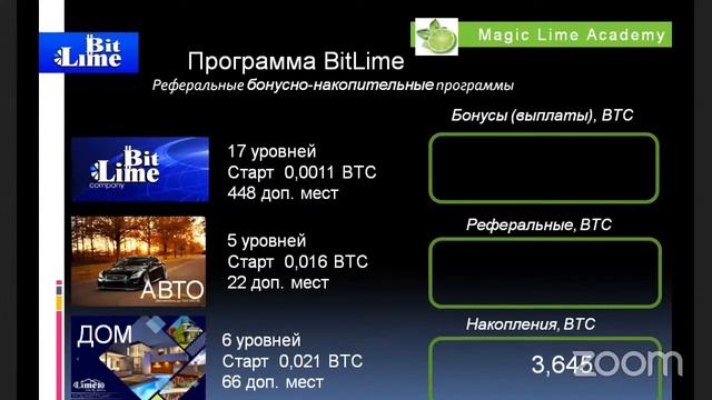Бонусно-накопительные программы Magic Lime Company. смотреть онлайн