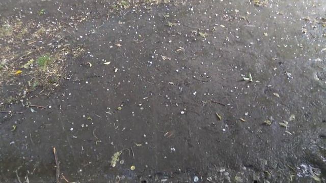 Град в Москве 23.062018 смотреть онлайн