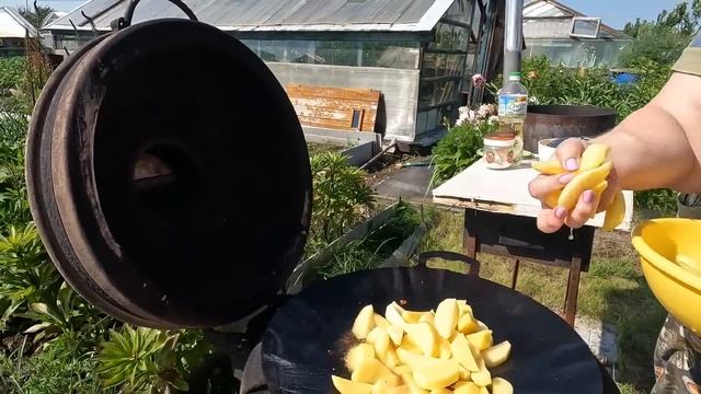 Наконец дождались первый урожай огурчиков. Садж нам в помощь для вкусной еды смотреть онлайн