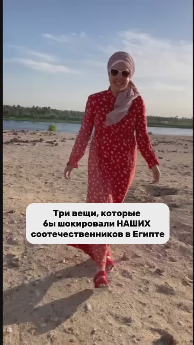 Эти 3 вещи шокируют вас в Египте 😳 смотреть онлайн