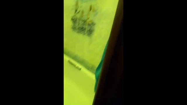 Видео без названия — смотреть онлайн