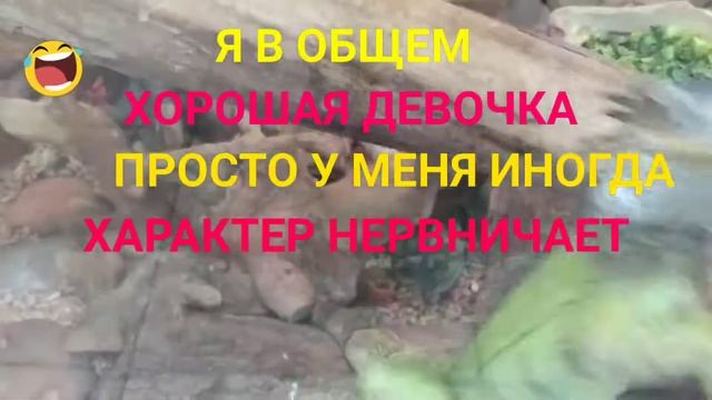 хорошая девочка смотреть онлайн