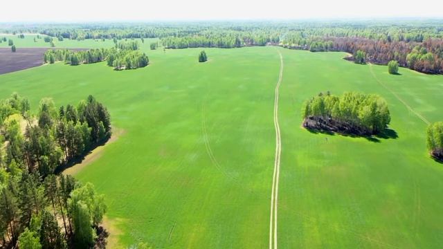 Бушуют пожары в Дзержинском районе TV.DanilovFilm смотреть онлайн