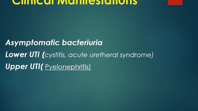 Microbiology lectures| Urinary tract infection |UTI | смотреть онлайн
