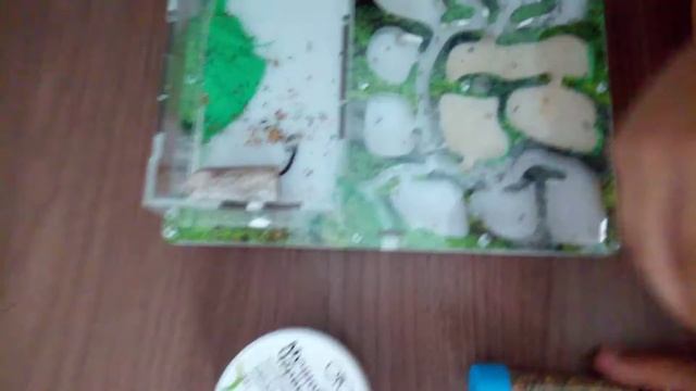 Корм или мучной червь. Муравьи жнецы. смотреть онлайн