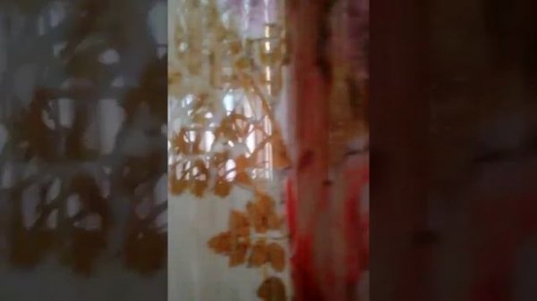 Песня про диму