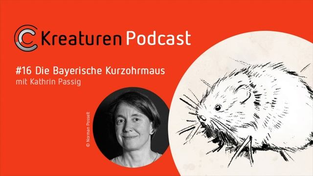 Kreaturen Podcast - Folge 16: Die Bayerische Kurzohrmaus mit Kathrin Passig смотреть онлайн
