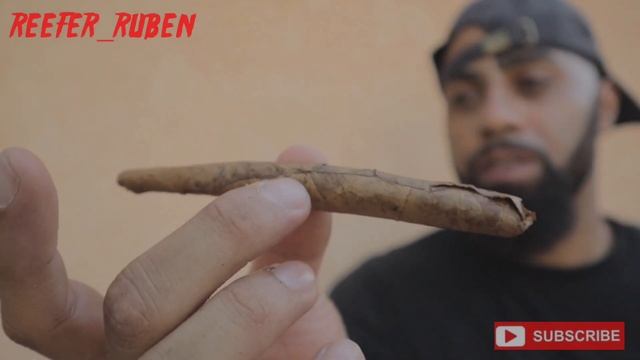 ROLLING UP A WHOLE STIIIZY 8TH IN A DUTCH MASTER!!! ( GUSHERS ) смотреть онлайн
