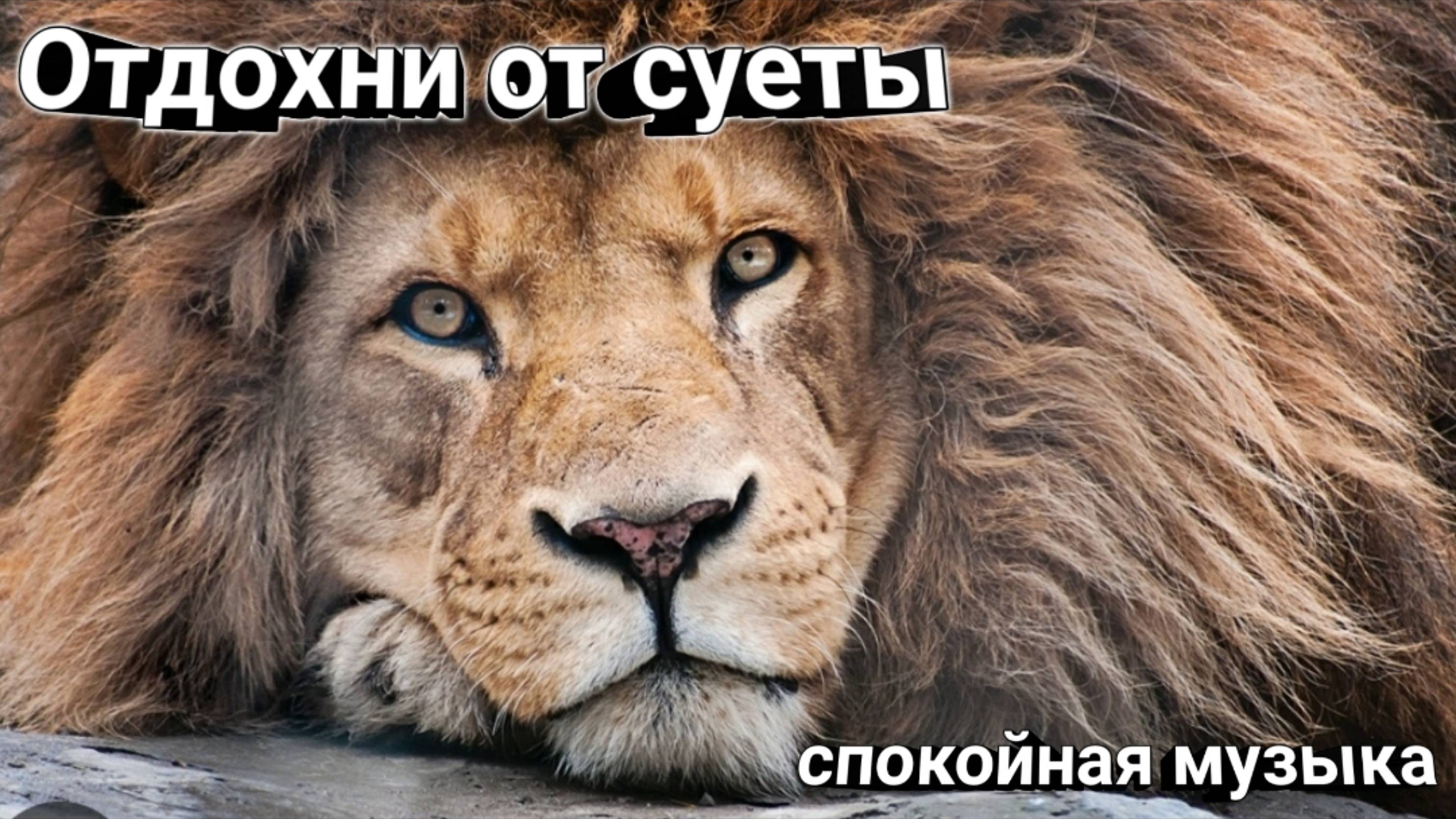 Музыка для отдыха