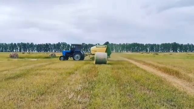 опытный механизатор заготавливает корма рулонным прессом от KRONE Comprima F155 смотреть онлайн