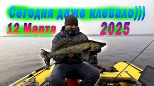 Рыба Просыпается. Рыбалка на спиннинг в Марте 2025