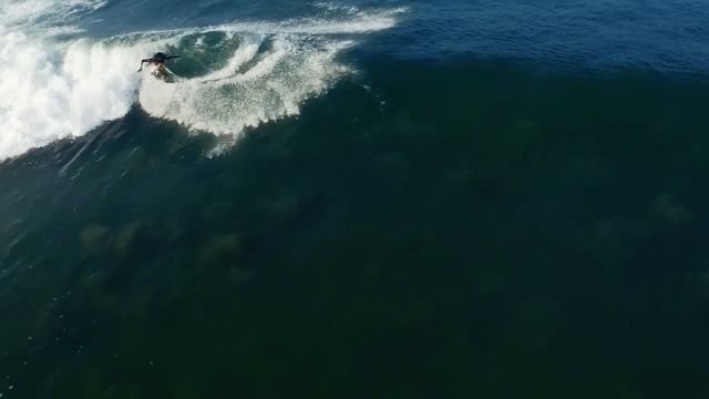 Jacques_Lemans Koko Mitsua