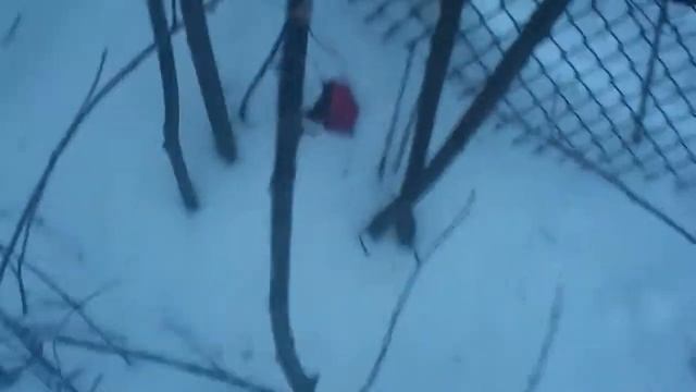 Kuritsa