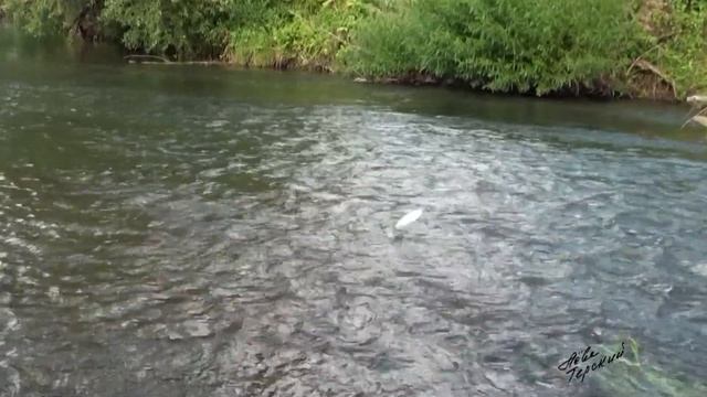 Юная любительница нахлыста