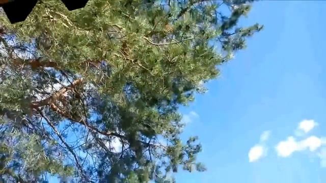 Пенсионер Отдыхает.Парк Кирова 31.09.18. смотреть онлайн