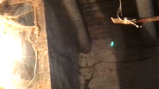 2021 - Жыл | 2022 - Жыл | new формат смотреть онлайн