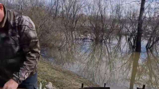 Готовим, обжариваем рыбу без запаха.