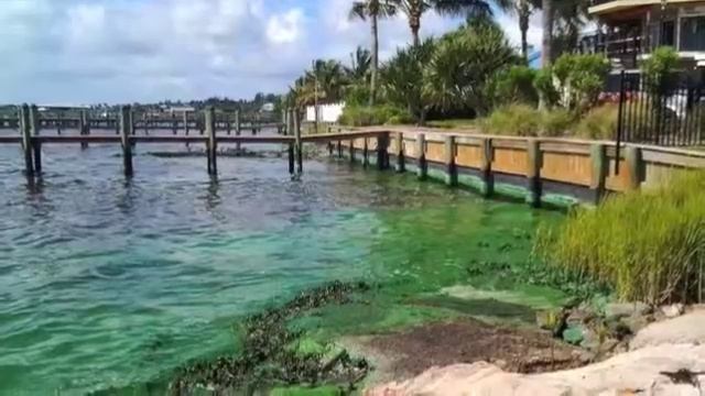 Indian River Lagoon in Peril смотреть онлайн