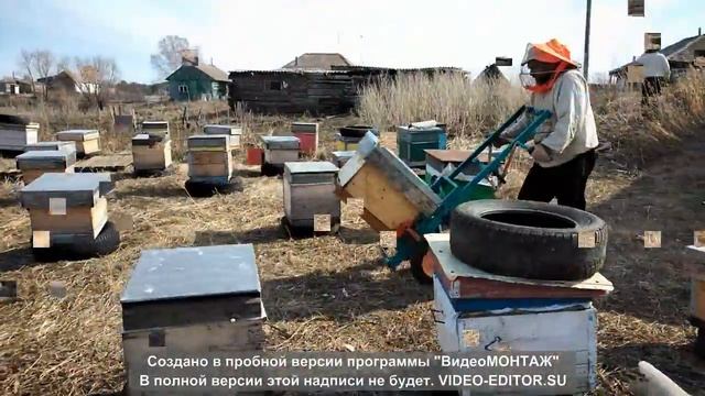 выставка пчел из зимовника смотреть онлайн