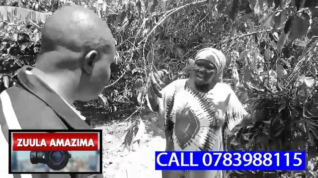 JOHN MUGANDA WA SAM TUMUZUDDE GYALI,AKAKASIZA NGA BWALOGA MUGANDA WE AFFE OLWOKUMWAGALIRA OMUKAZZI смотреть онлайн