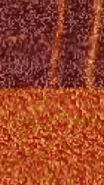 TAILS BURNS TO DEATH IN SONIC.EXE PROJECT X #shorts #sonicexe #exe #tails #tailsexe #sonichorror смотреть онлайн