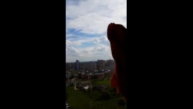 Салфетка для стекла от компании #greenway смотреть онлайн