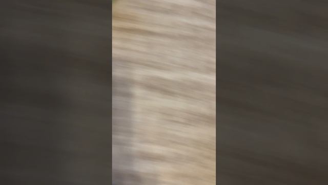 ТАЧКИ 4/TAZWN 4