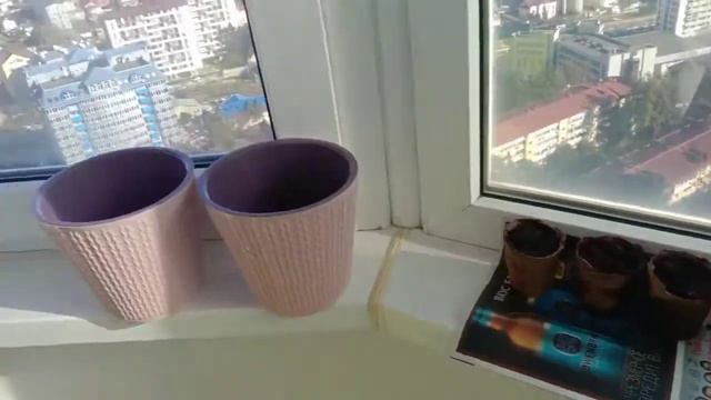 Огурцы и Помидоры на балконе 27.03.2021 смотреть онлайн