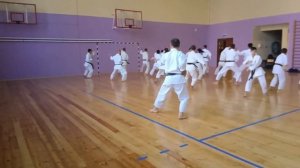 Sensho kata Asai Karate with Shihan Dormenko Andrey 8 Dan